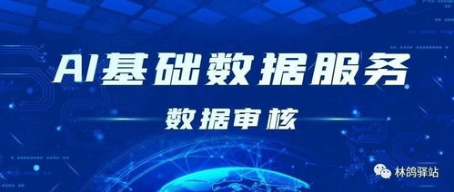 數(shù)據(jù)驅動AI未來 以采集、標注與審核為核心的AI基礎數(shù)據(jù)服務行業(yè)