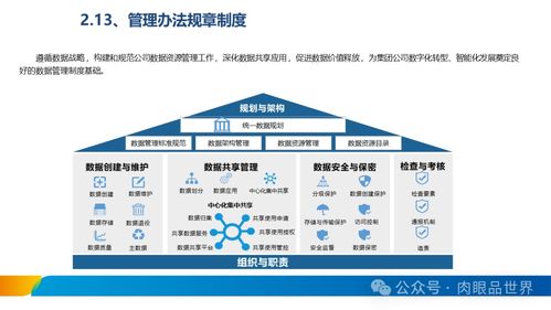 XX集團(tuán)數(shù)據(jù)治理體系建設(shè)方案 數(shù)據(jù)處理服務(wù)的戰(zhàn)略實(shí)施路徑