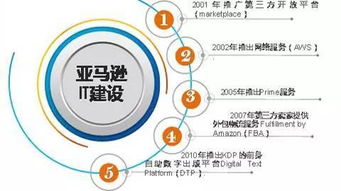 亞馬遜 遠(yuǎn)見與執(zhí)行的戰(zhàn)略典范——一部以網(wǎng)絡(luò)技術(shù)服務(wù)為核心的二十年變遷史